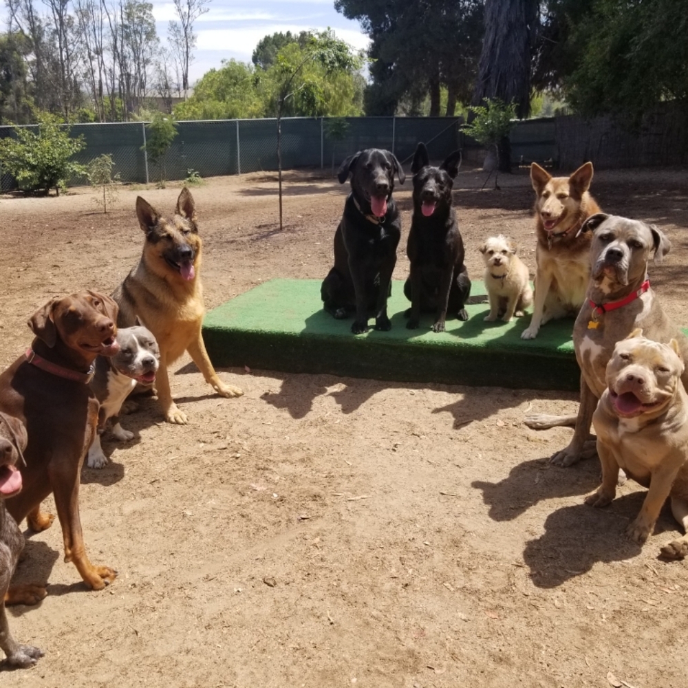 I LOVE TO SHARE!